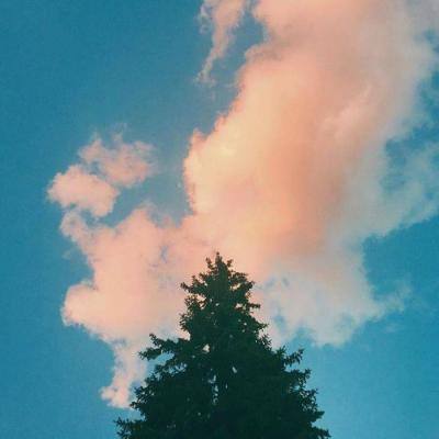 奇发体育app娱乐手机版