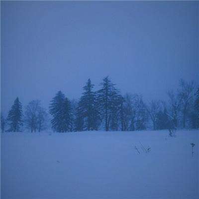 1965体育app官网登录入口