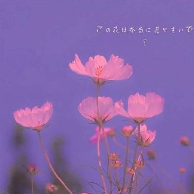 追求绝对收益与严控回撤 银华回报基金3月25日至31日开放