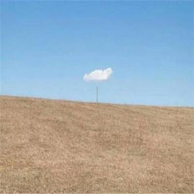 月薪5000元缴多少社保“第六险”