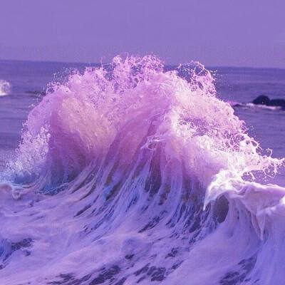 兴旺体育娱乐APP/手机APP下载